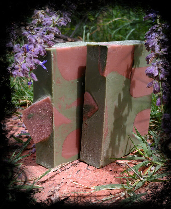 Two bars of green soap with brown cubes embedded in it.