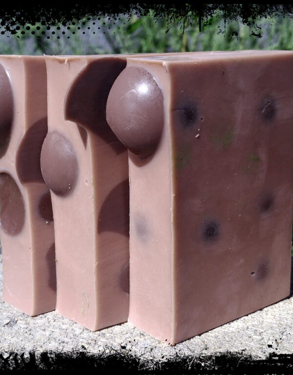 Three bars of soap, medium brown with darker brown spheres embedded within.