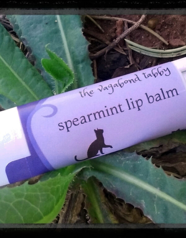 A single lip balm tube; the label says spearmint.