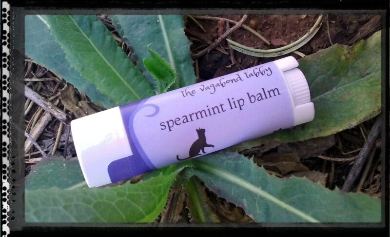 A single lip balm tube; the label says spearmint.