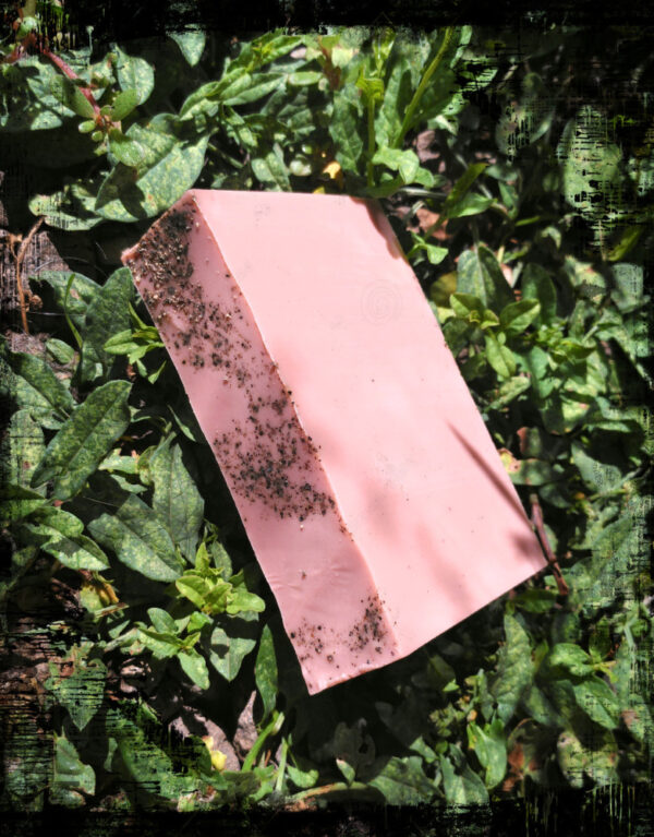 A bar of medium brown soap sprinkled with black pepper.