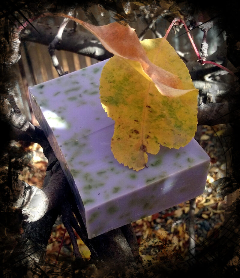 A single bar of soap, purple speckled with green herbs.