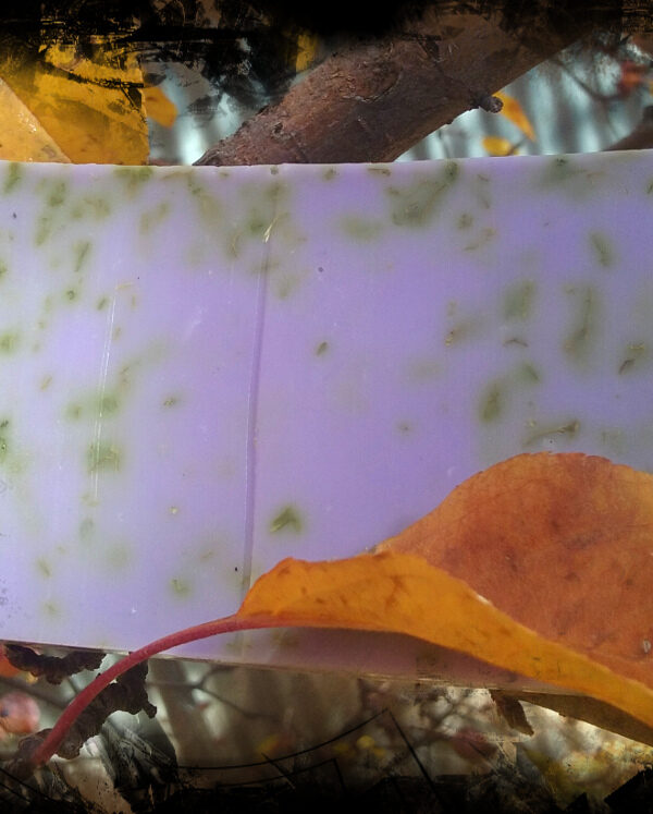 A single bar of soap, purple speckled with green herbs.