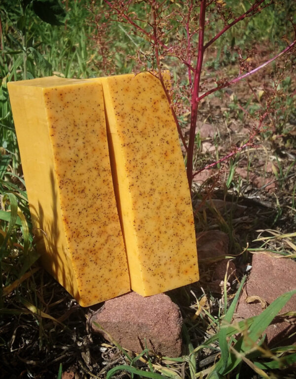 Two bars of lightly speckled orange soap.